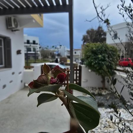 TínosThe Garden House别墅 外观 照片