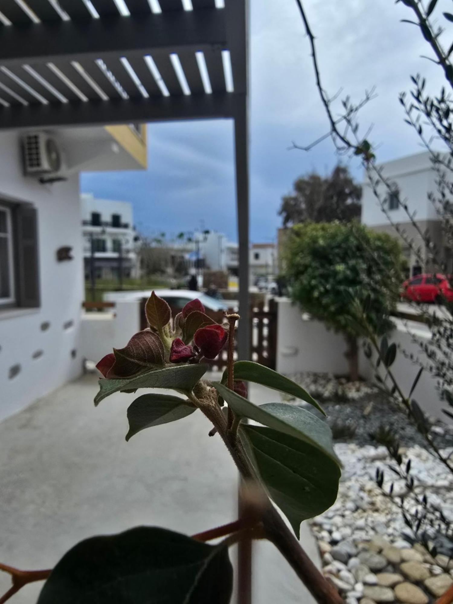 TínosThe Garden House别墅 外观 照片
