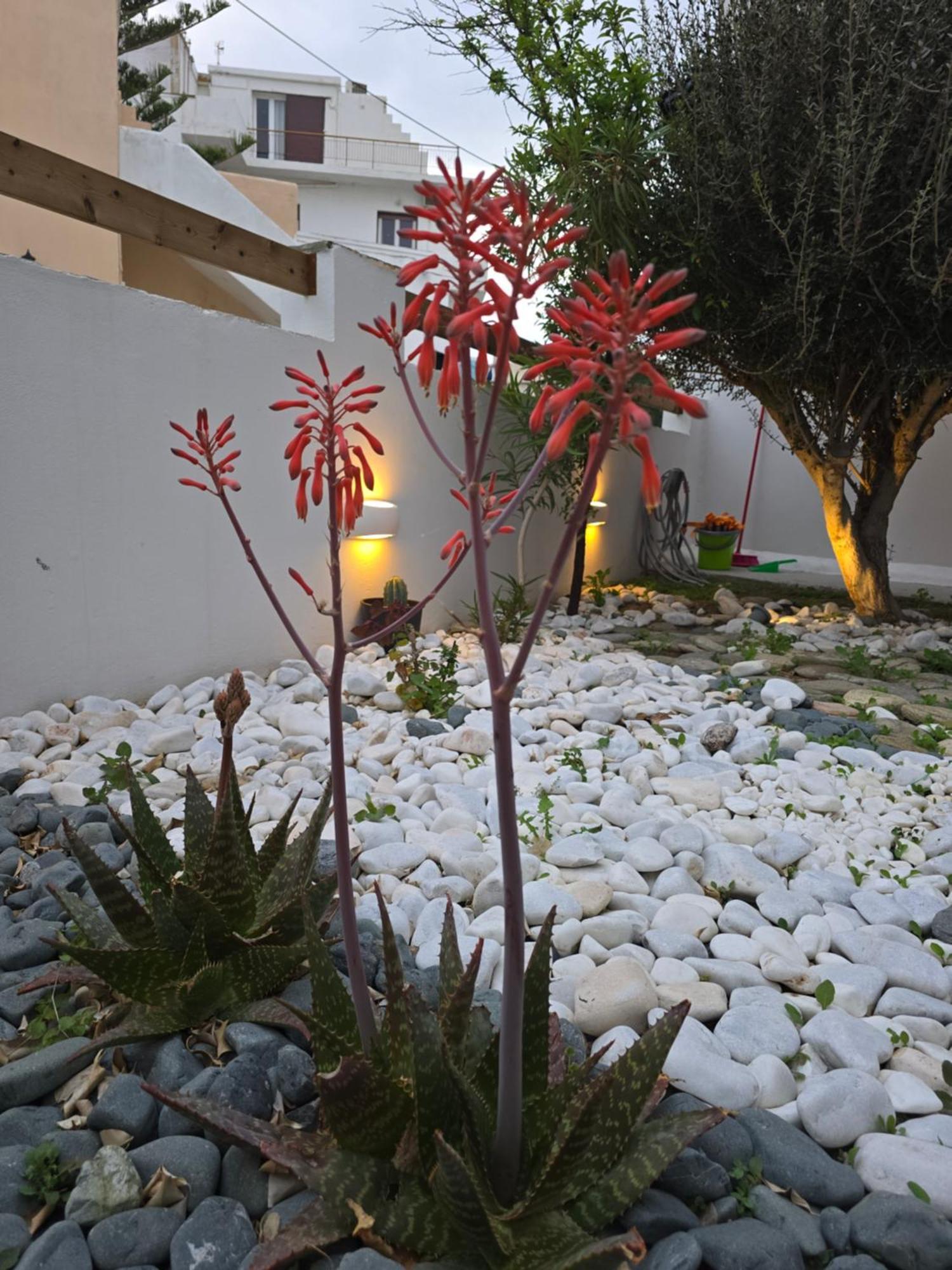 TínosThe Garden House别墅 外观 照片